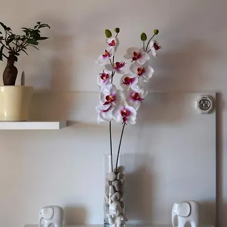 Lejlighed Apartman Tomislav *